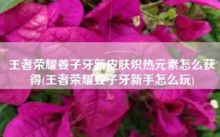 王者荣耀姜子牙新皮肤炽热元素怎么获得(王者荣耀姜子牙新手怎么玩)