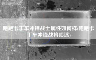 跑跑卡丁车冲锋战士属性如何样(跑跑卡丁车冲锋战将喷漆)