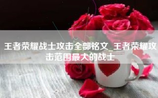 王者荣耀战士攻击全部铭文_王者荣耀攻击范围最大的战士