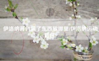 伊洛纳背包满了东西放哪里(伊洛纳运动背包)