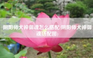 阴阳师犬神御魂怎么搭配(阴阳师犬神御魂搭配图)
