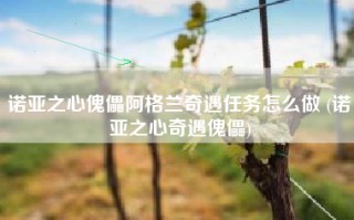 诺亚之心傀儡阿格兰奇遇任务怎么做 (诺亚之心奇遇傀儡)