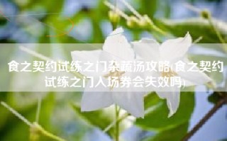 食之契约试练之门杂蔬汤攻略(食之契约试练之门入场券会失效吗)