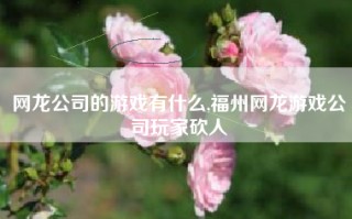 网龙公司的游戏有什么,福州网龙游戏公司玩家砍人