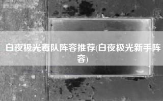 白夜极光毒队阵容推荐(白夜极光新手阵容)