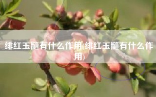 绯红玉髓有什么作用(绯红玉髓有什么作用)
