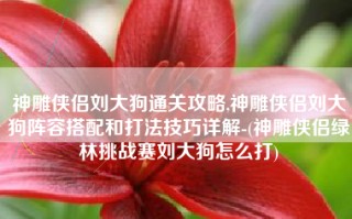 神雕侠侣刘大狗通关攻略,神雕侠侣刘大狗阵容搭配和打法技巧详解-(神雕侠侣绿林挑战赛刘大狗怎么打)