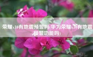 荣耀x10有地震预警吗(华为荣耀x10有地震预警功能吗)