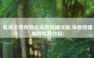 航海王燃烧意志海兽围捕攻略(海兽围捕规则奖励介绍)
