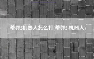 羞辱2机器人怎么打(羞辱2 机器人)