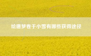 绘唐梦卷于小雪有哪些获得途径