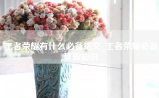 王者荣耀有什么必备铭文_王者荣耀必备基础知识