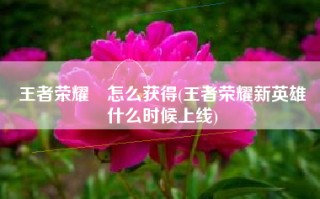 王者荣耀暃怎么获得(王者荣耀新英雄暃什么时候上线)