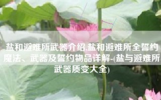盐和避难所武器介绍,盐和避难所全誓约魔法、武器及誓约物品详解-(盐与避难所武器质变大全)