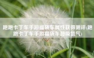 跑跑卡丁车手游福袋车属性获得测评(跑跑卡丁车手游福袋车超级氮气)