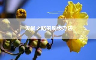 天堂之路的刷级办法