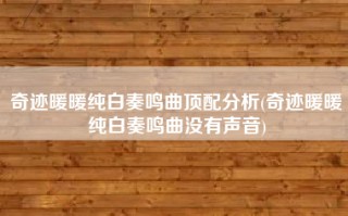 奇迹暖暖纯白奏鸣曲顶配分析(奇迹暖暖纯白奏鸣曲没有声音)