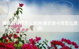 魂武者斗技怎么选择(魂武者斗技怎么选择)