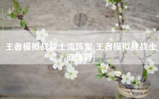 王者模拟战战士流阵型(王者模拟战战士流阵容)