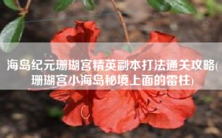 海岛纪元珊瑚宫精英副本打法通关攻略(珊瑚宫小海岛秘境上面的雷柱)