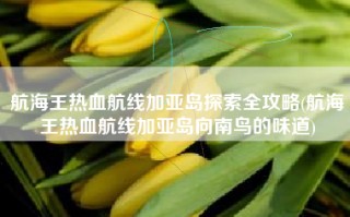 航海王热血航线加亚岛探索全攻略(航海王热血航线加亚岛向南鸟的味道)