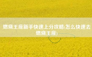 燃烧王座新手快速上分攻略(怎么快速去燃烧王座)