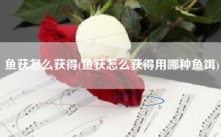 鱼获怎么获得(鱼获怎么获得用哪种鱼饵)