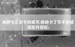 跑跑卡丁车手游威龙(跑跑卡丁车手游威猛配件搭配)