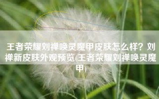 王者荣耀刘禅唤灵魔甲皮肤怎么样？刘禅新皮肤外观预览(王者荣耀刘禅唤灵魔甲)