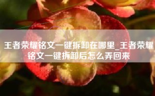 王者荣耀铭文一键拆卸在哪里_王者荣耀铭文一键拆卸后怎么弄回来