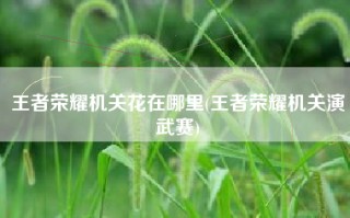 王者荣耀机关花在哪里(王者荣耀机关演武赛)