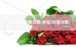 迷室往逝完整攻略(迷室3完整攻略)