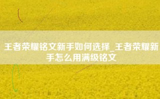 王者荣耀铭文新手如何选择_王者荣耀新手怎么用满级铭文