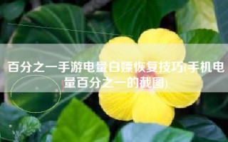 百分之一手游电量白嫖恢复技巧(手机电量百分之一的截图)
