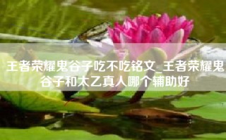王者荣耀鬼谷子吃不吃铭文_王者荣耀鬼谷子和太乙真人哪个辅助好