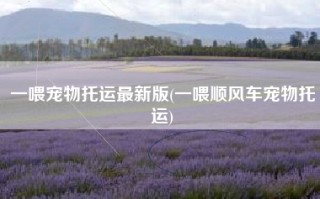 一喂宠物托运最新版(一喂顺风车宠物托运)