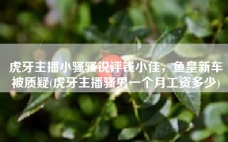 虎牙主播小骚骚锐评钱小佳，鱼皇新车被质疑(虎牙主播骚男一个月工资多少)