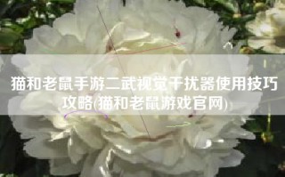 猫和老鼠手游二武视觉干扰器使用技巧攻略(猫和老鼠游戏官网)
