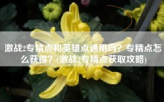 激战2专精点和英雄点通用吗？专精点怎么获得？(激战2专精点获取攻略)
