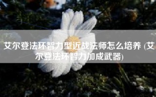 艾尔登法环智力型近战法师怎么培养 (艾尔登法环智力加成武器)