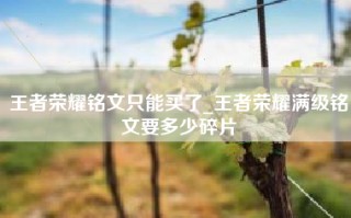 王者荣耀铭文只能买了_王者荣耀满级铭文要多少碎片