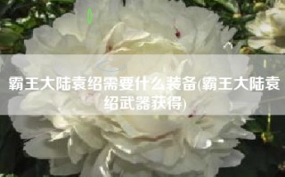 霸王大陆袁绍需要什么装备(霸王大陆袁绍武器获得)