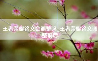 王者荣耀铭文会调整吗_王者荣耀铭文调整前后