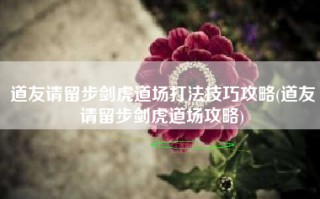 道友请留步剑虎道场打法技巧攻略(道友请留步剑虎道场攻略)