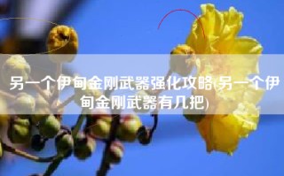 另一个伊甸金刚武器强化攻略(另一个伊甸金刚武器有几把)