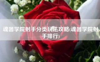 魂器学院射手分类玩法攻略(魂器学院射手排行)