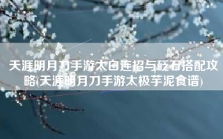 天涯明月刀手游太白连招与砭石搭配攻略(天涯明月刀手游太极芋泥食谱)