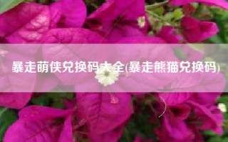 暴走萌侠兑换码大全(暴走熊猫兑换码)