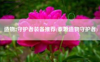 造物2守护者装备推荐(泰坦造物守护者)