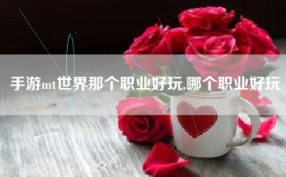 手游mt世界那个职业好玩,哪个职业好玩